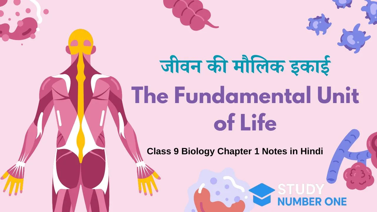 Class 9 Biology Chapter 1 Notes in Hindi