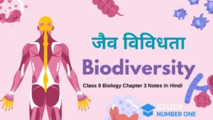Class 9 Biology Chapter 3 Notes in Hindi