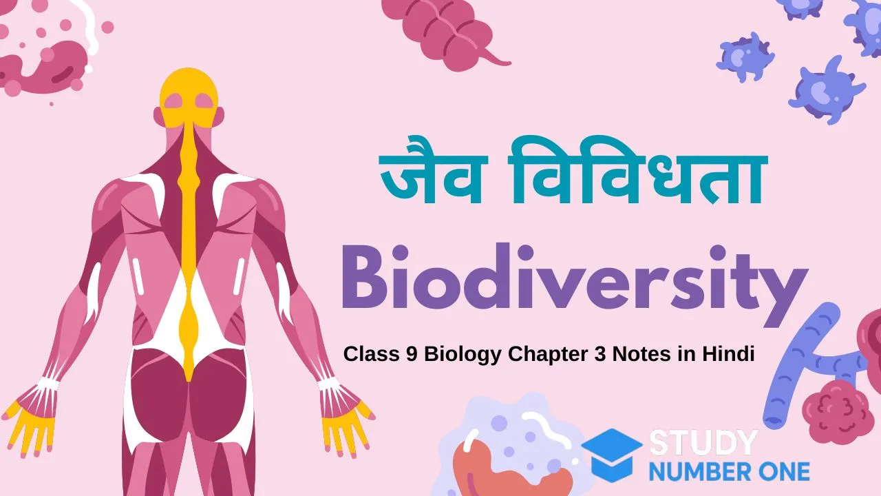Class 9 Biology Chapter 3 Notes in Hindi