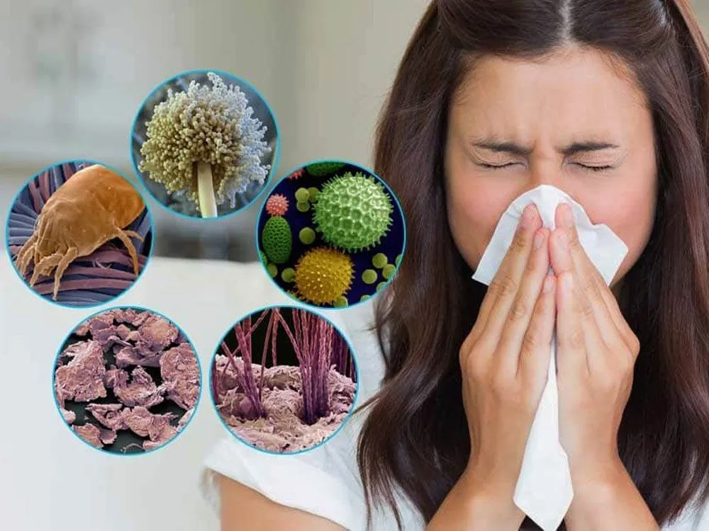 प्रतिक्रिया बीमारी (Allergy)