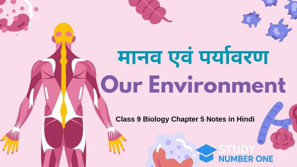 Class 9 Biology Chapter 5 Notes in Hindi