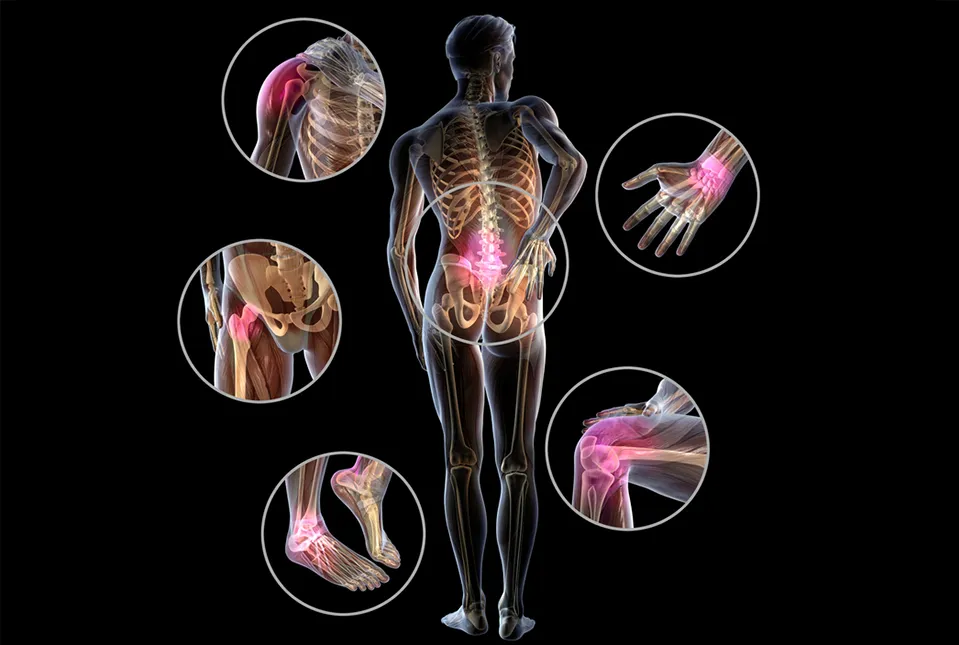 बीमारी (Diseases)